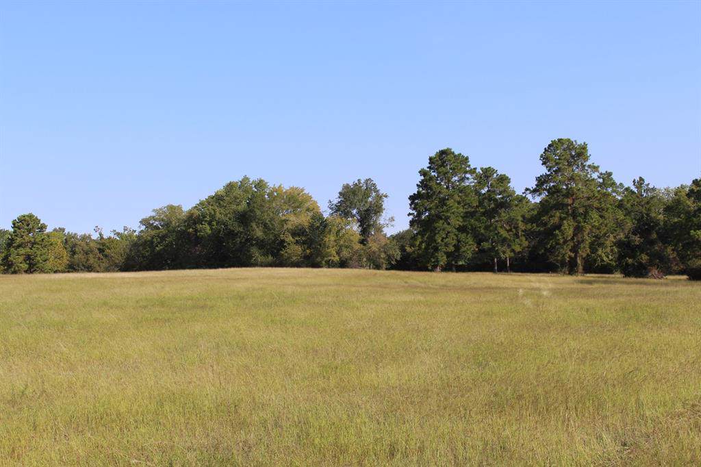 21087 Arnsworth Road - Photo 1