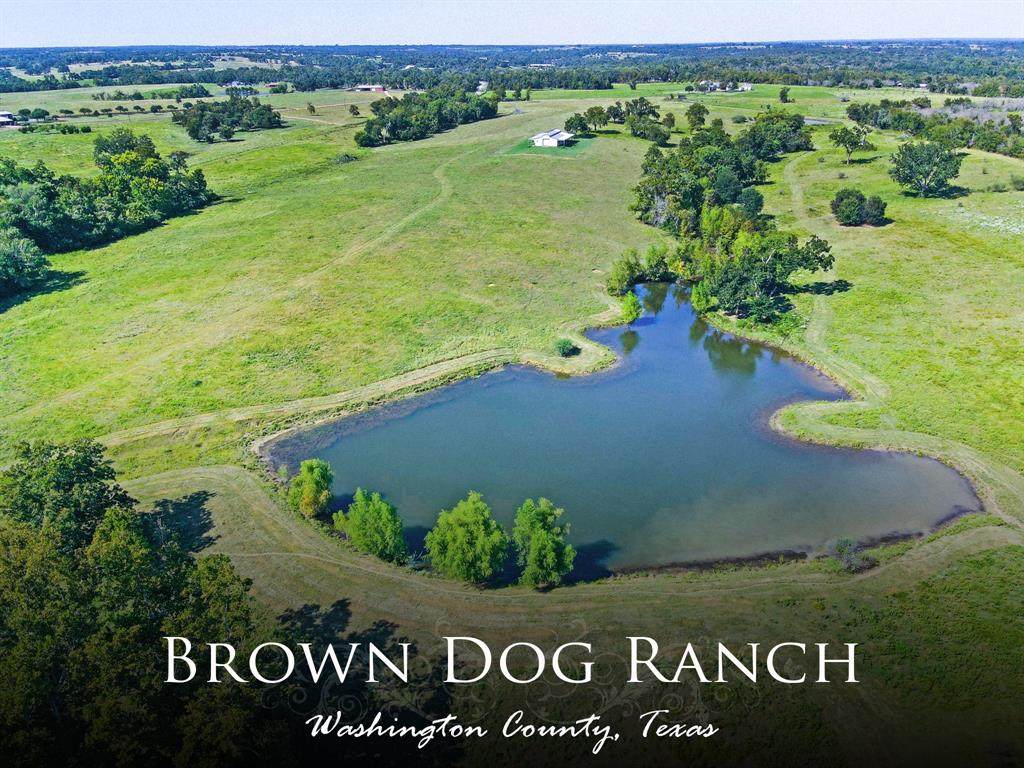 2540 Running River Lane - Photo 1