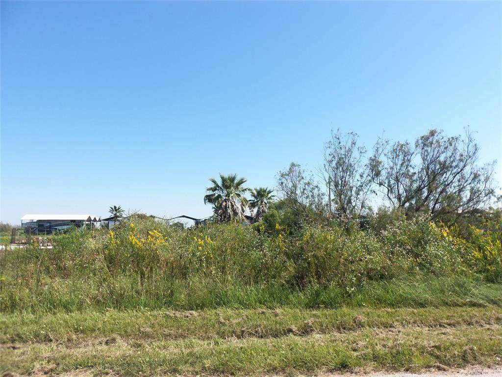 11 Stingaree - Photo 1