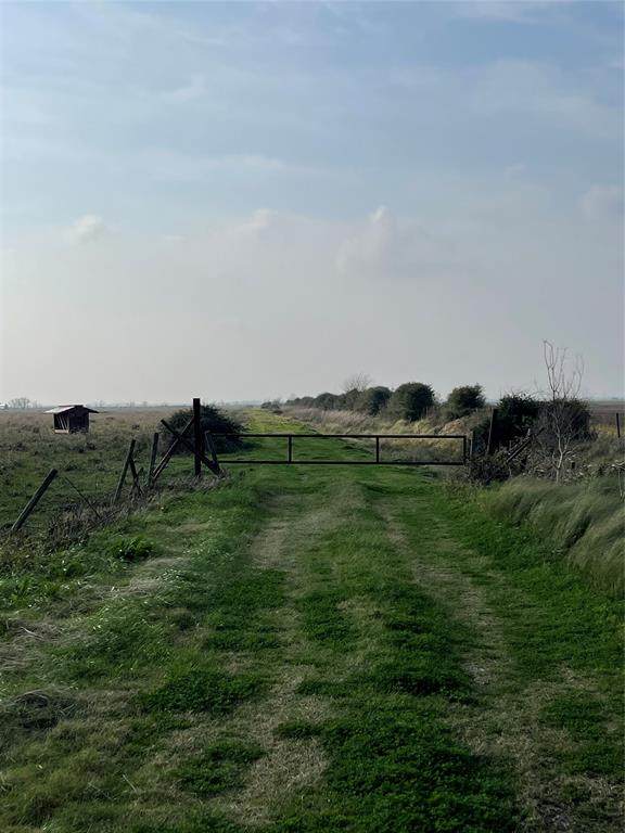 0000 Wilber - Photo 1