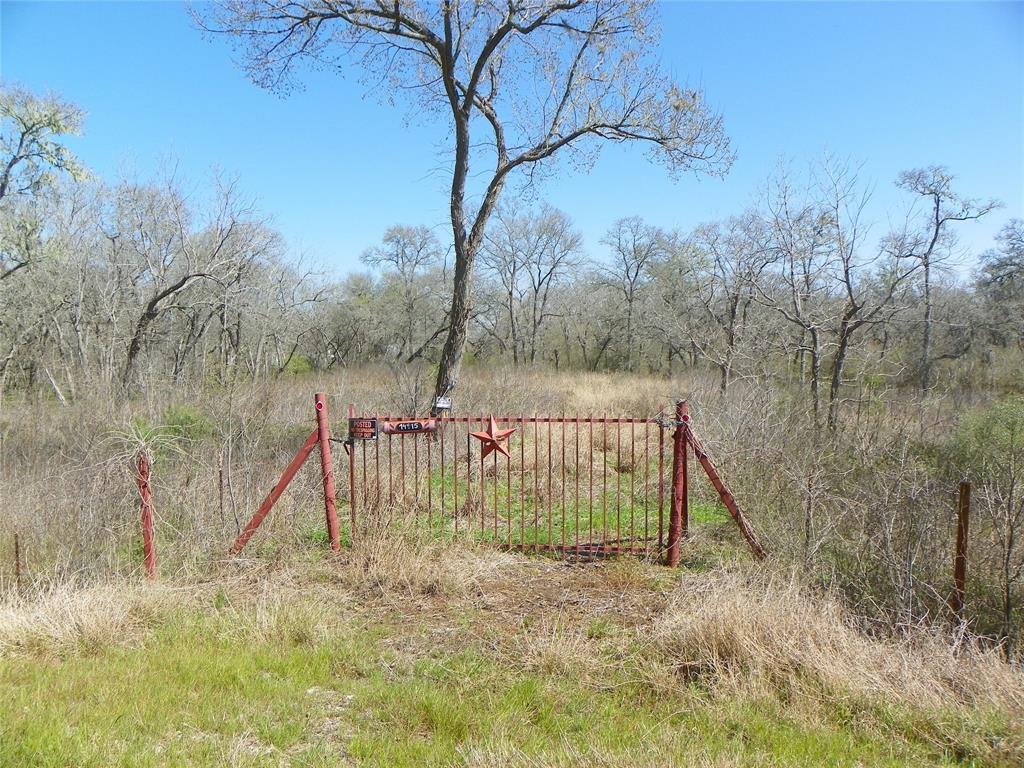 00 Tierra Grande Drive - Photo 1
