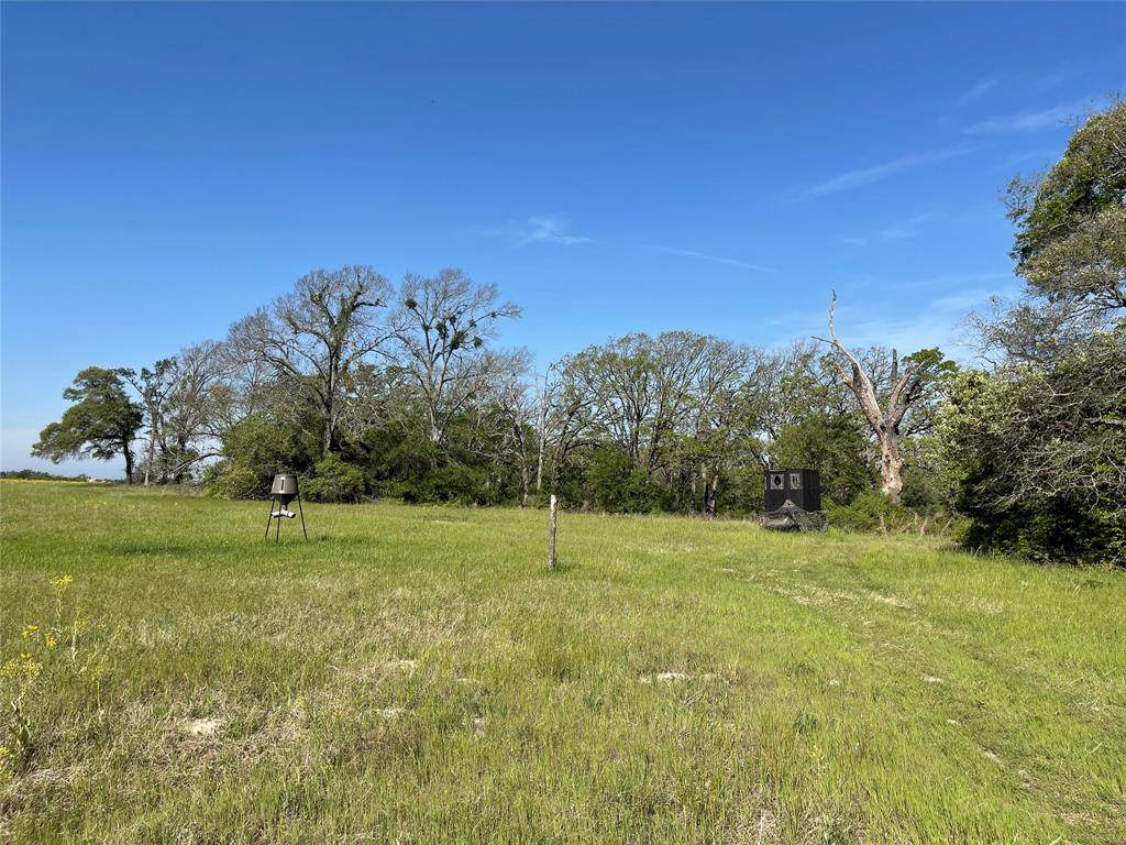 TBD Tr. 2 Hill - Photo 1