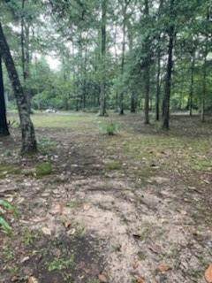 000 Bitter Creek Drive - Photo 1
