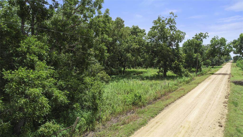 2187 County Road 448 Road - Photo 1