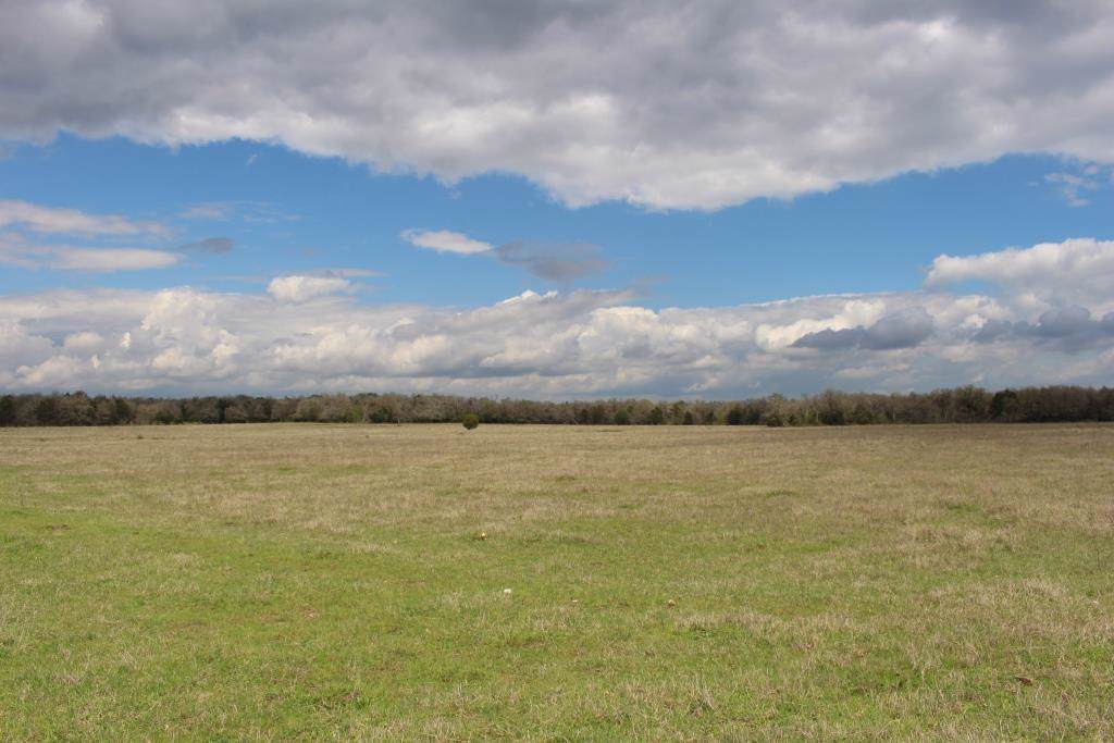 1249 Lange Road - Photo 1