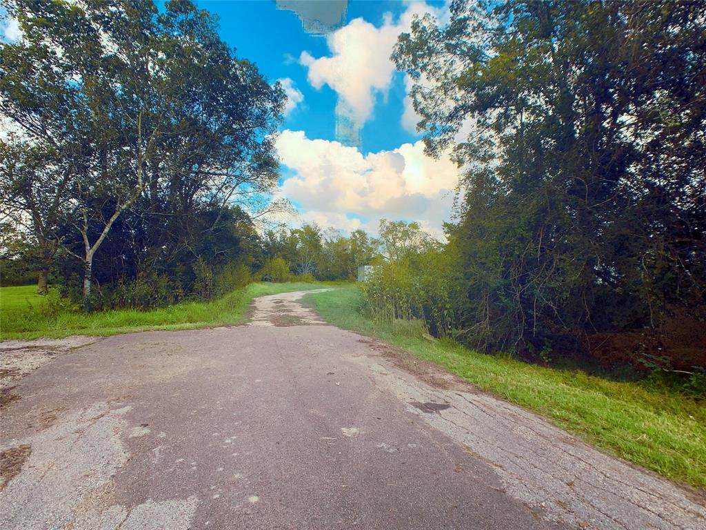 3503 County Road 161 - Photo 1