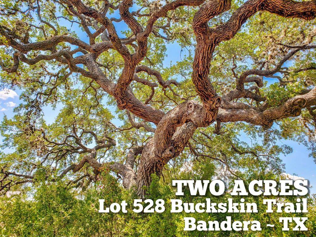 Lot 528 Buckskin Trail - Photo 1