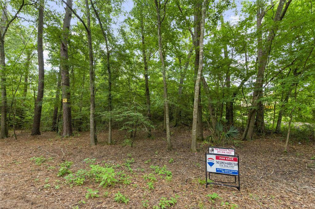 00 Indian Trail - Photo 1
