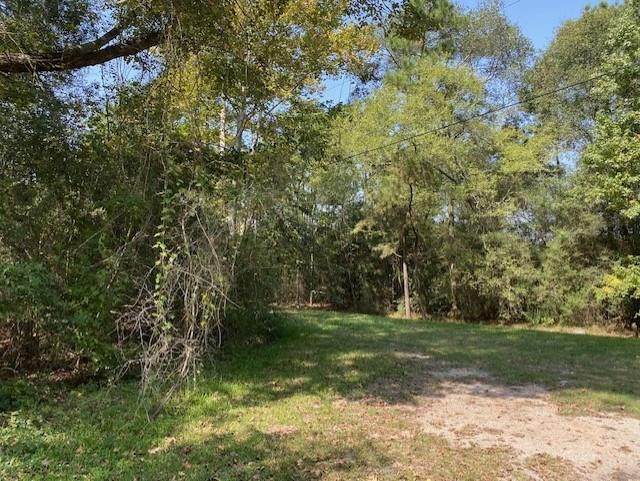 13715 Pecantex Drive - Photo 1