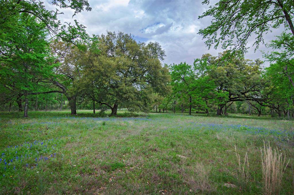 Tract 1 & 2 Lone Star Farm - Photo 1