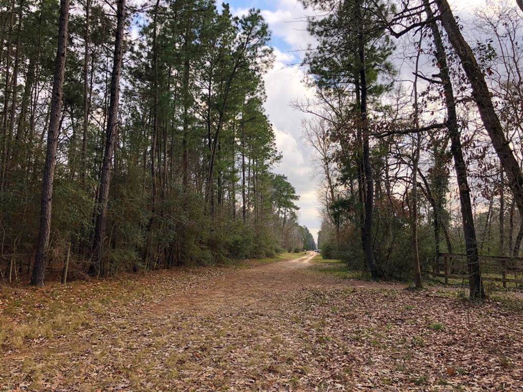 0 Gibbs Pipeline Road - Photo 1