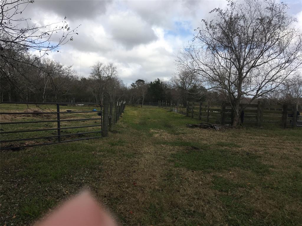 915 County Road 915 - Photo 1