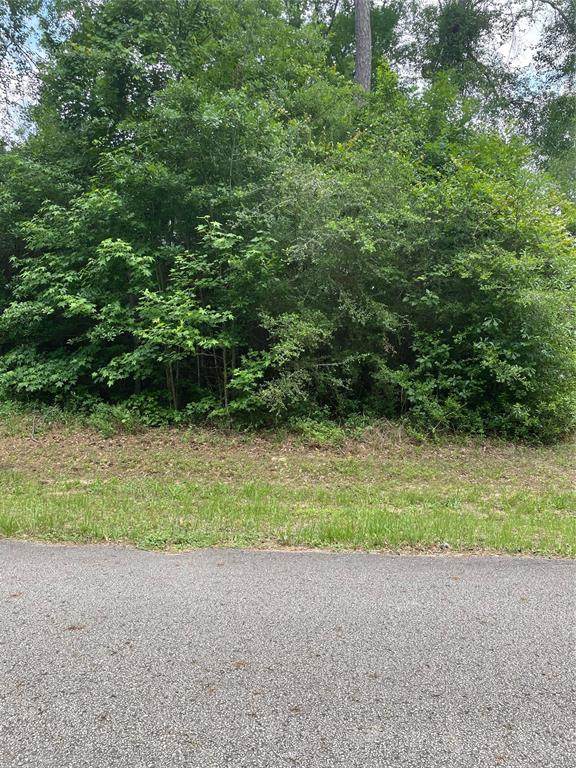 00-0 Mimosa Lane - Photo 1