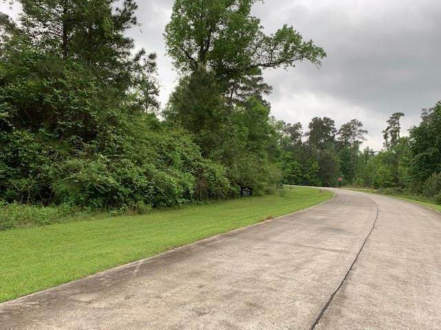 25218 Tara Bend Court - Photo 1
