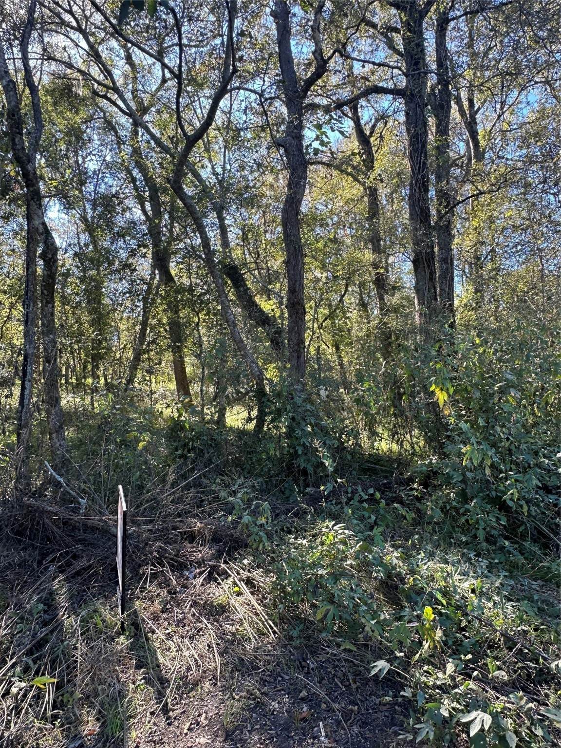 00 Oak Forest Drive - Photo 1