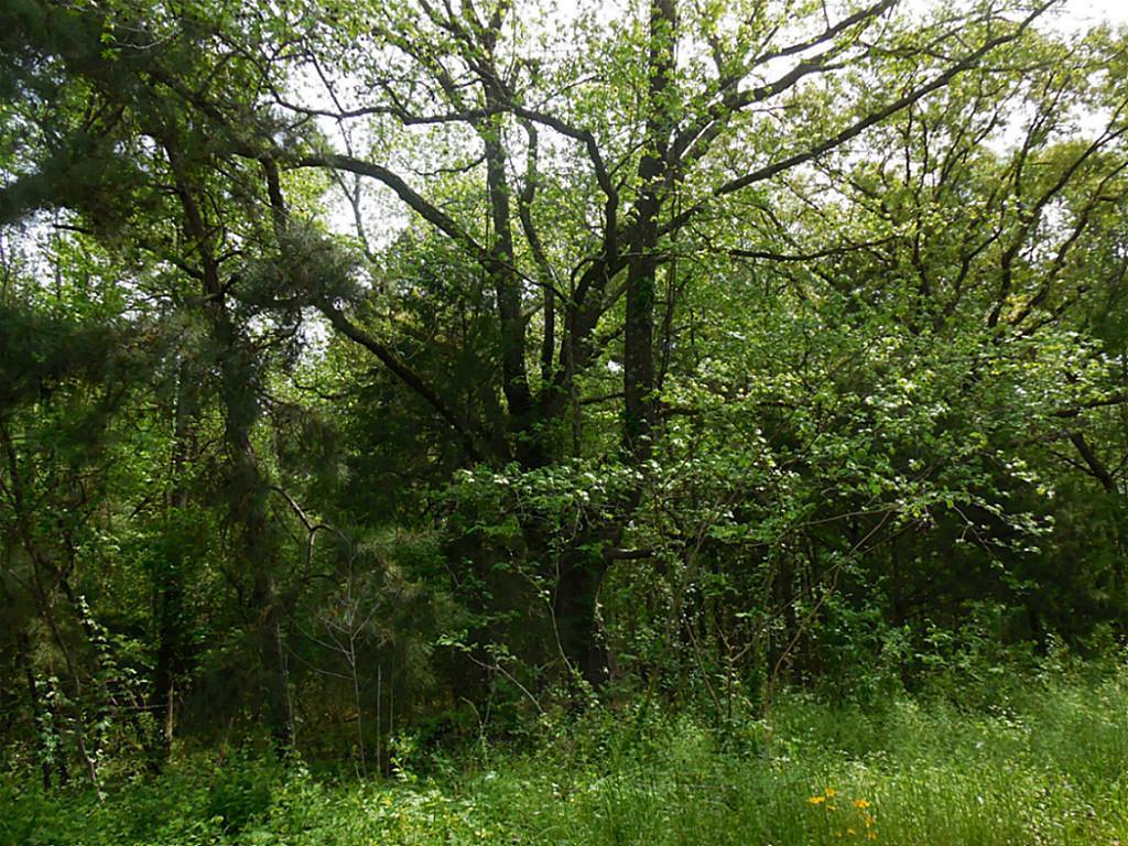 TBD Raven Hill - Photo 1