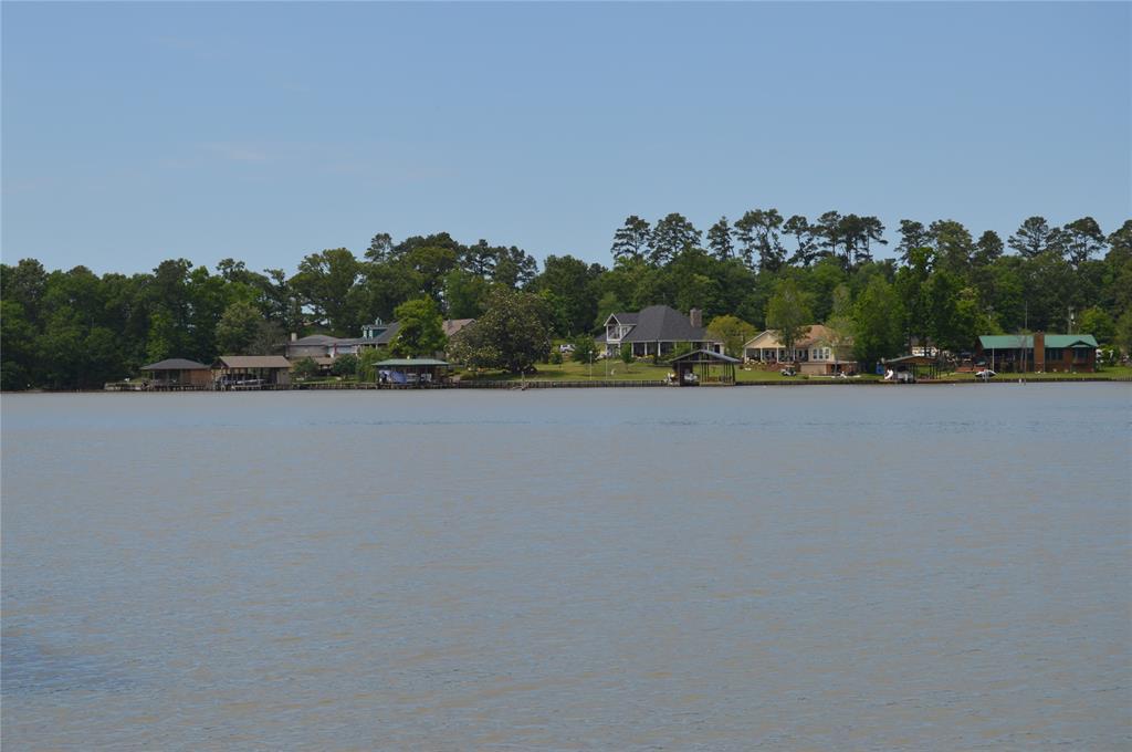 202 Dove Island - Photo 1