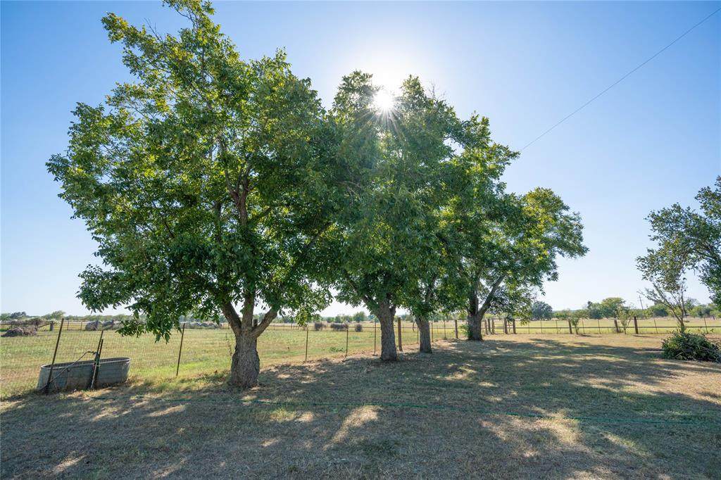 1115 County Road 669 - Photo 1