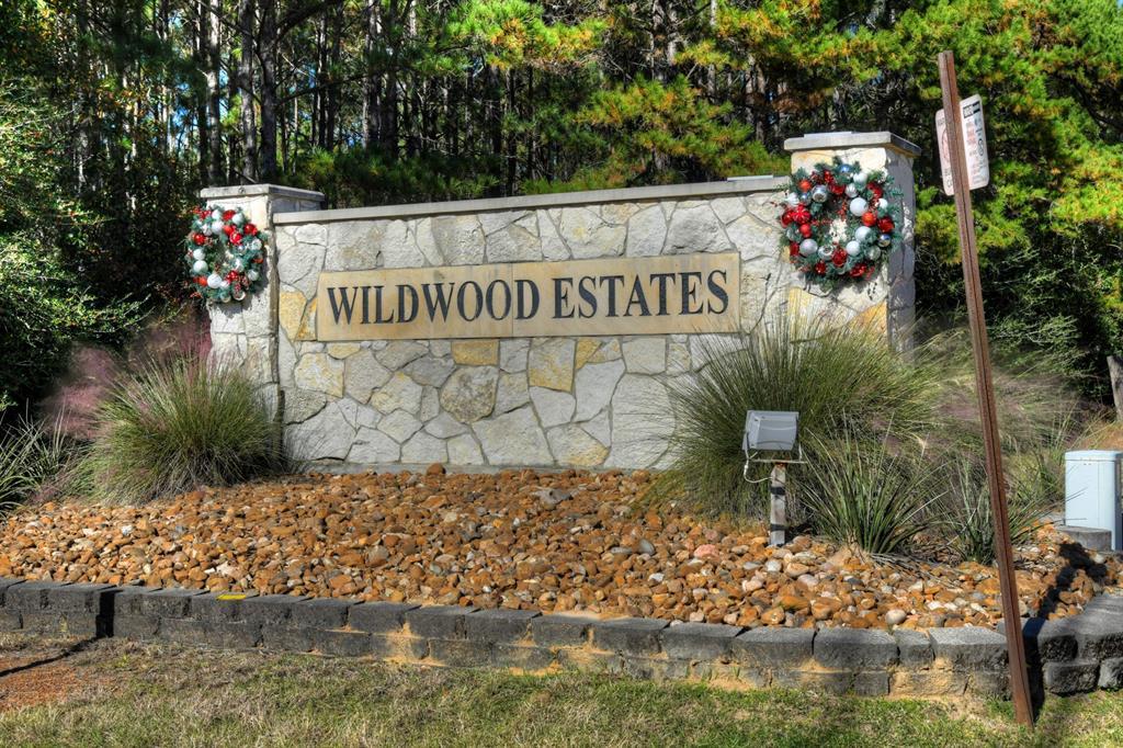 15435 Wildwood Trace - Photo 1