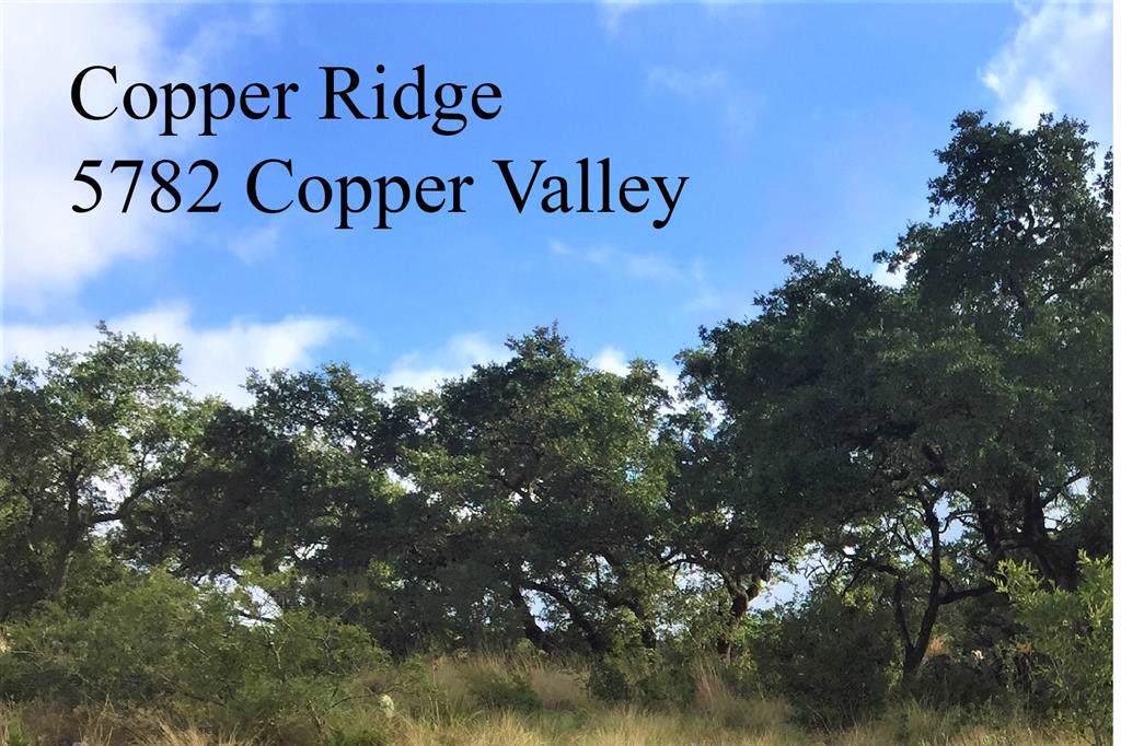 5782 Copper Valley - Photo 1