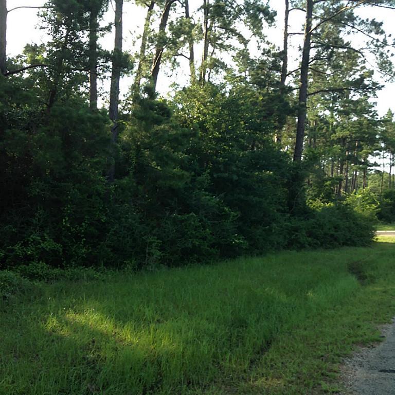 LOT 19A Riley Road - Photo 1