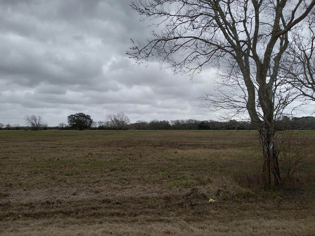1803 County Road 773 - Photo 1