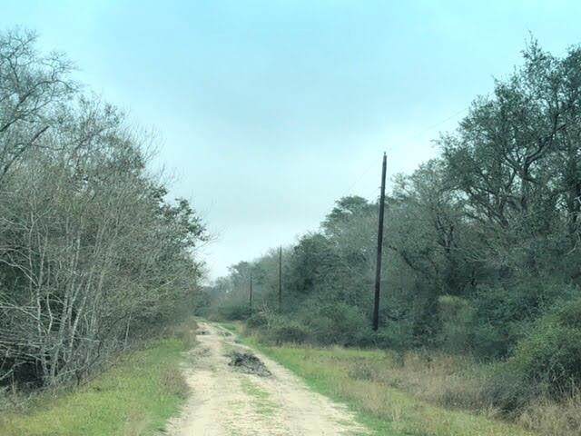 0 Holly Lane - Photo 1