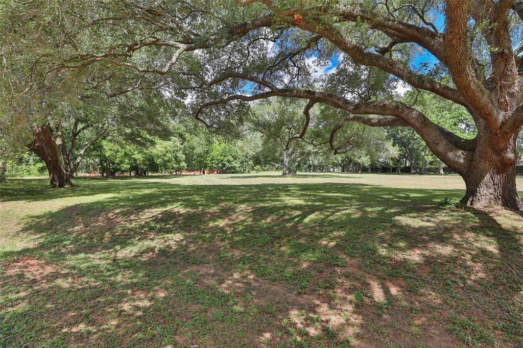 8518 Tanager Court - Photo 1