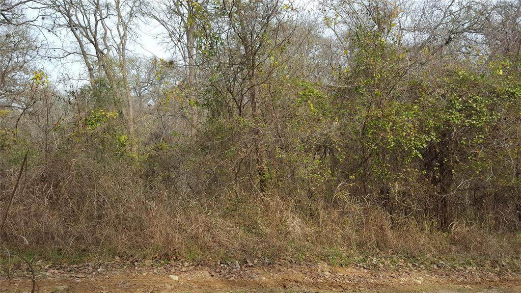 Lot 664 Kaukonahua Lane - Photo 1
