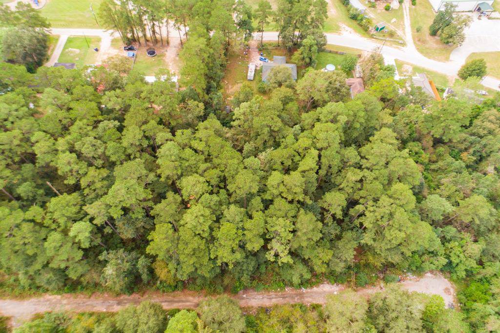 25720 Hickory Lane - Photo 1