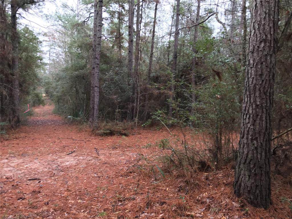 3a-14-15 Grand View - Photo 1