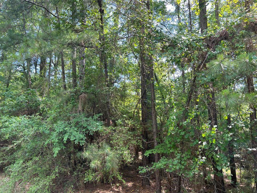 Lot 32 Walnut Drive - Photo 1