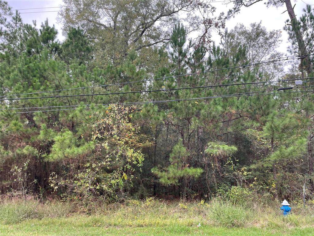000 Big Deer Drive - Photo 1