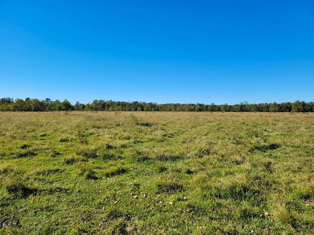 00 County Road 2058 - Photo 1