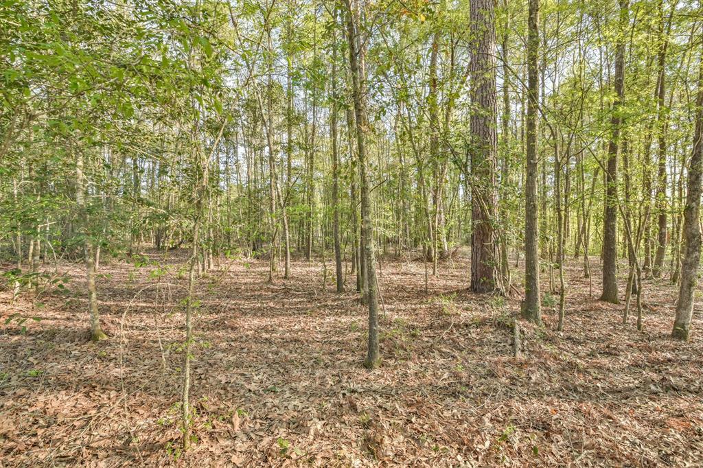 27657 Rio Blanco Drive - Photo 1