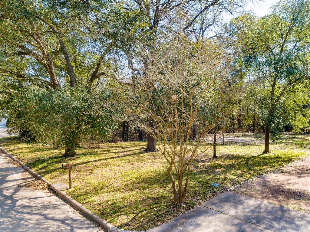14111 Cindywood Circle - Photo 1