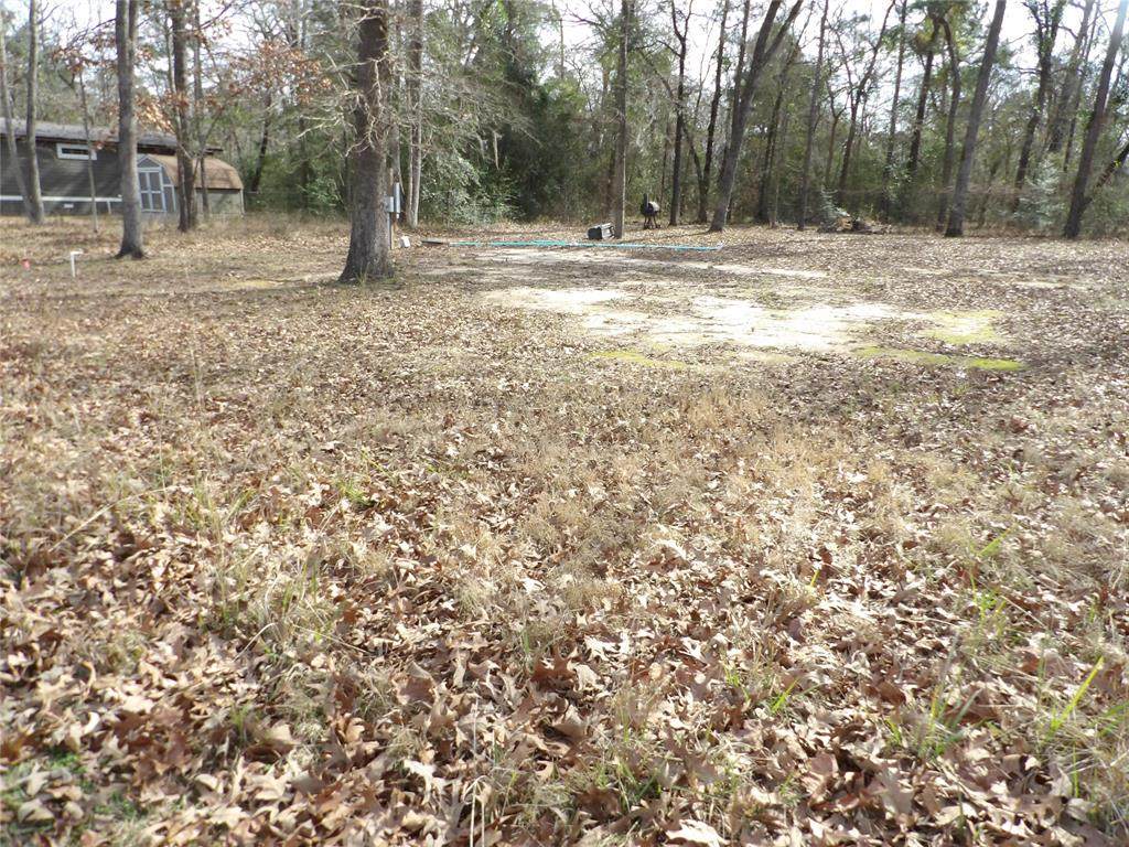 341 Leaning Oak Drive - Photo 1
