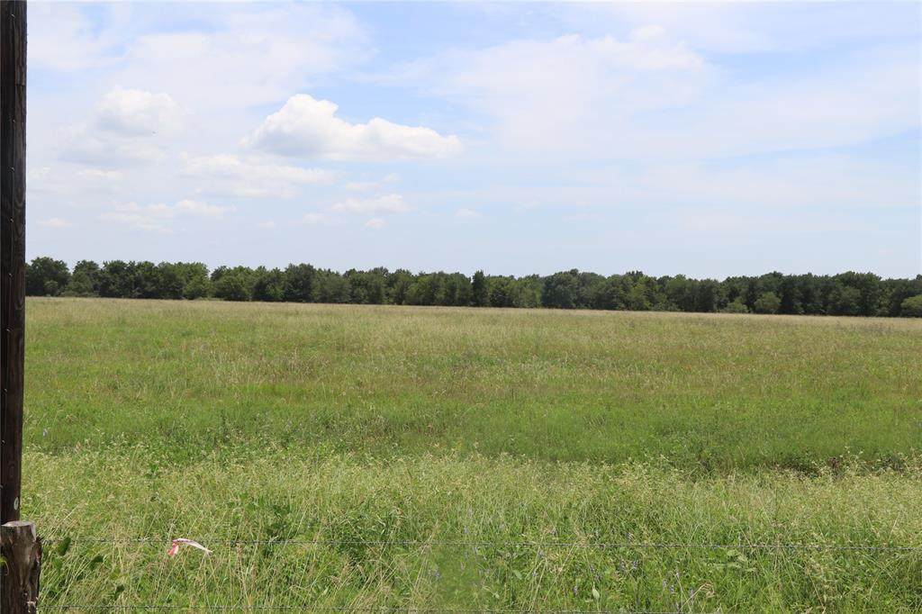 40689 Harpers Church Harpers Church Road - Photo 1