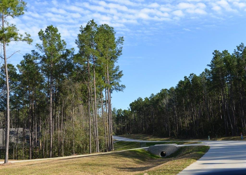 9554 Longmire Oaks Drive - Photo 1