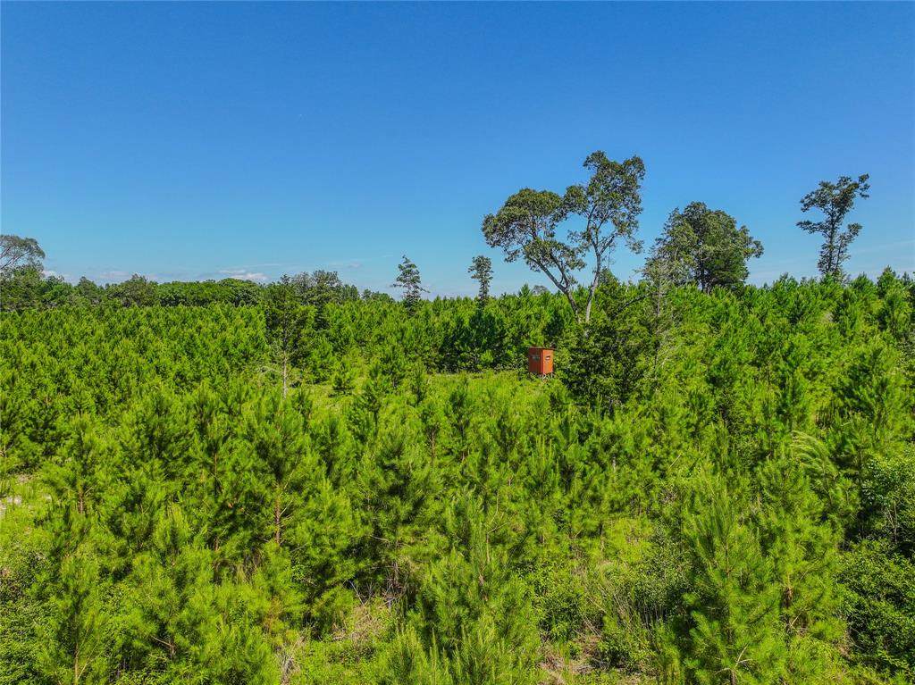 TBD County Road 1450 - Photo 1