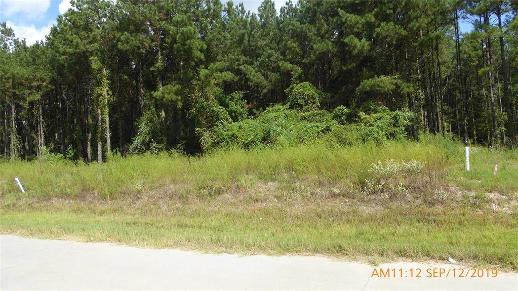 239 County Road 5001 - Photo 1