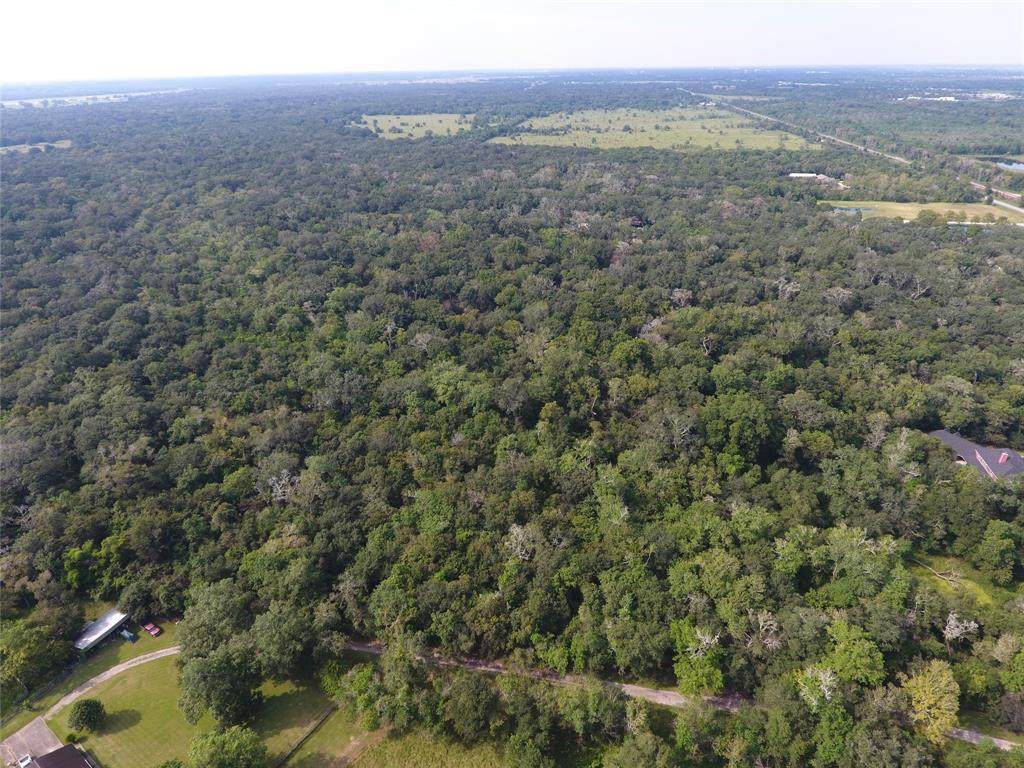 00 00 County Road 288 Road - Photo 1