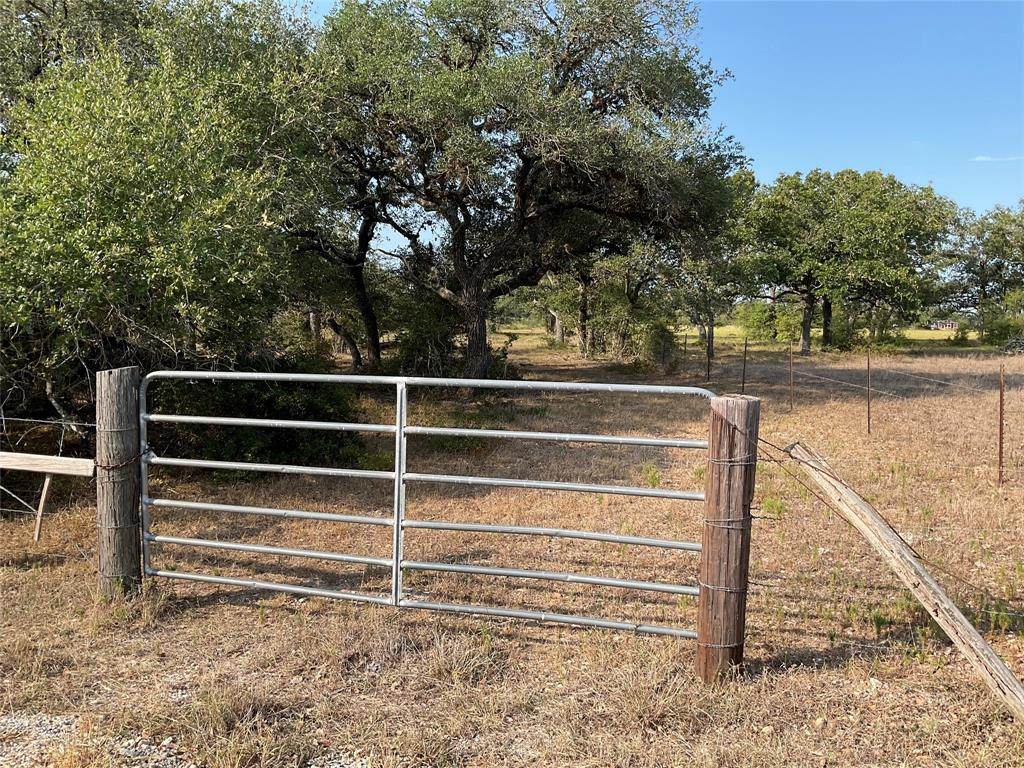 0000 Cattle Guard Road - Photo 1