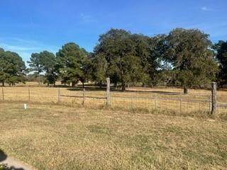 FM466 Pine Ranch Road - Photo 1