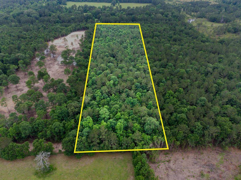 Tract 3 County Road 3813 - Photo 1