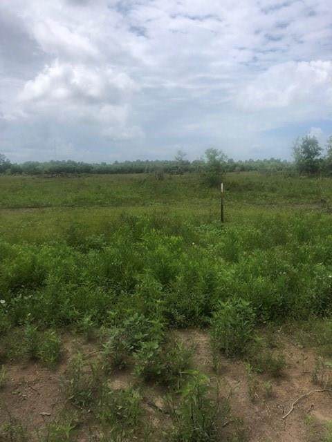 2614 County Road 117 - Photo 1 2614 County Road 117 - Photo 1