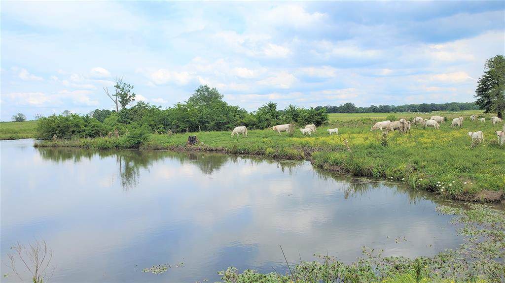 13380 Fm 412 - Photo 1