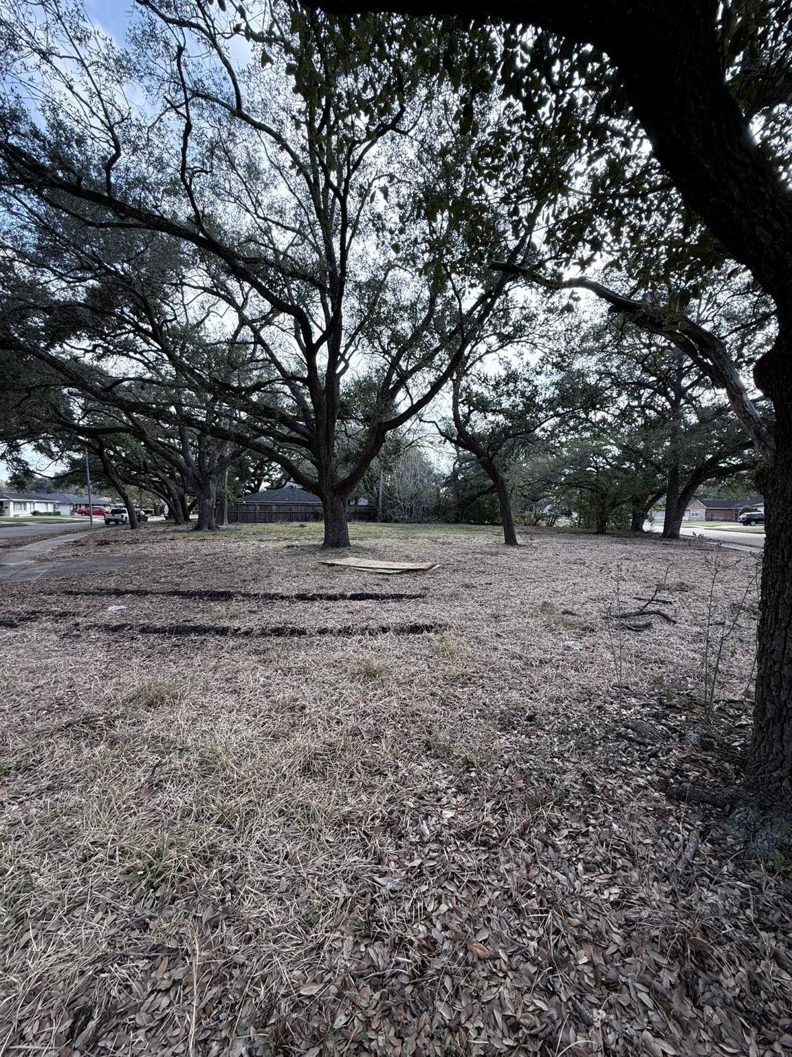 4038 Woodshire Street - Photo 1