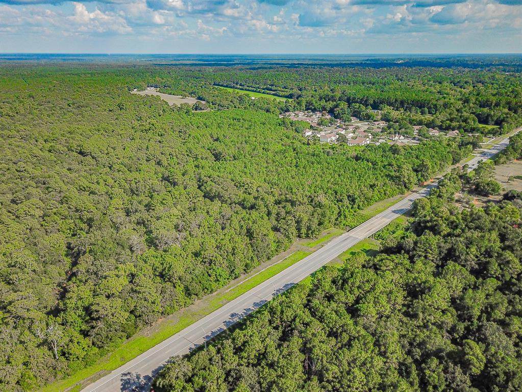 0 Hwy 321/ Tract 3 - Photo 1