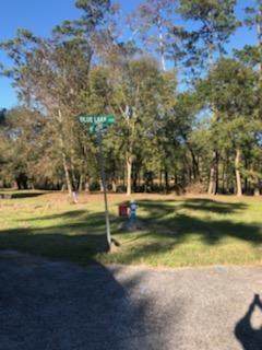 00 Blue Lake Drive - Photo 1